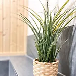 Apartmán Baltischer Hof 61 Boltenhagen (Ostseebad)